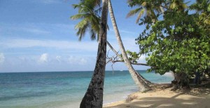 Las Terrenas Beach with palm trees blue ocean and blue sky Dominican Republic