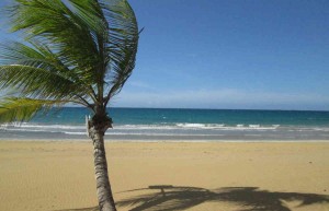 Winds of Coson Las Terrenas, Dominican Republic