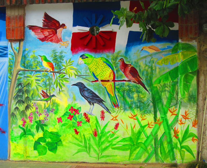 Several types of birds common to the Caribbean and specifically the Dominican Republic with of course the flag in the background and a jungle scene where the birds are