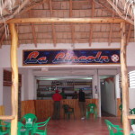 Caribbean bar in the tropics wood framed with grass roof